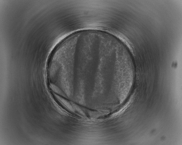 X0000097971077200804211005
