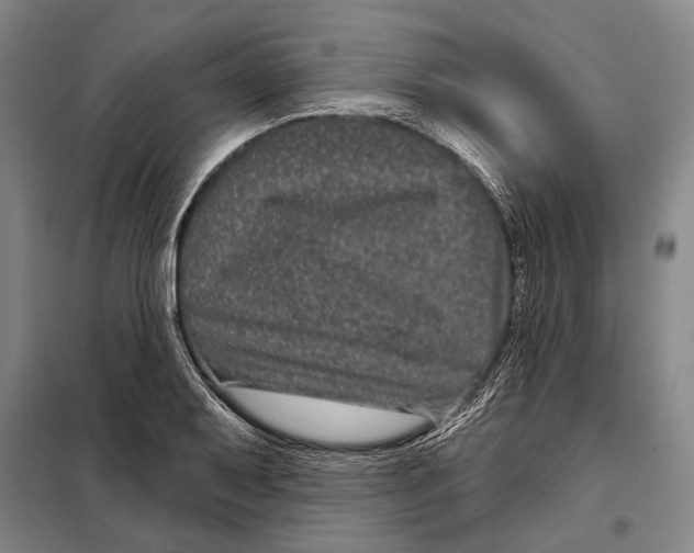 X0000097971079200804211005