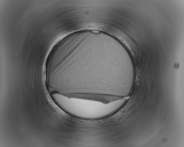 X0000097971080200804211005