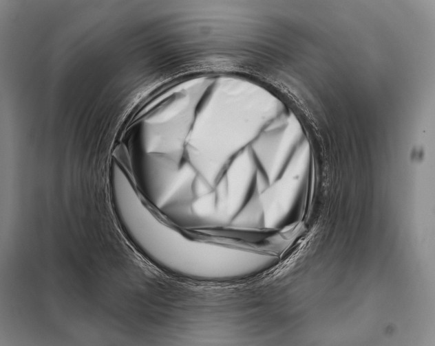X0000097971081200804211005