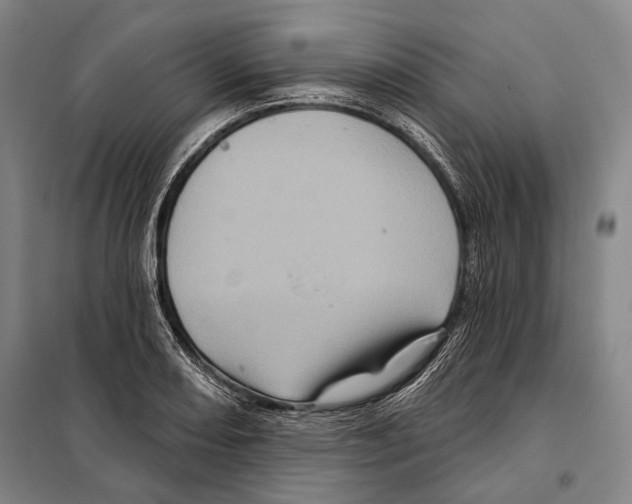 X0000097971082200804211005