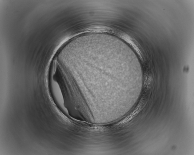 X0000097971083200804211005