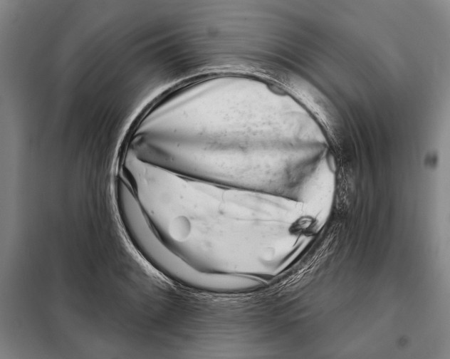 X0000097971084200804211005