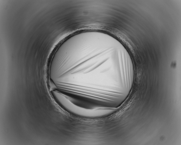 X0000097971085200804211005