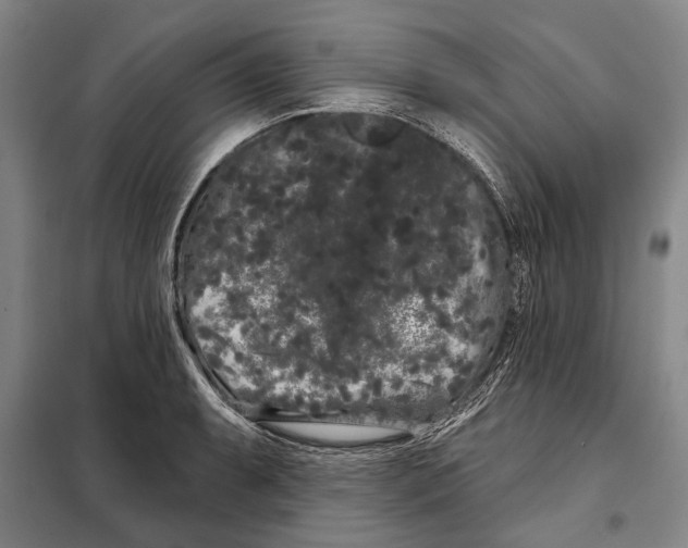 X0000097971087200804211005