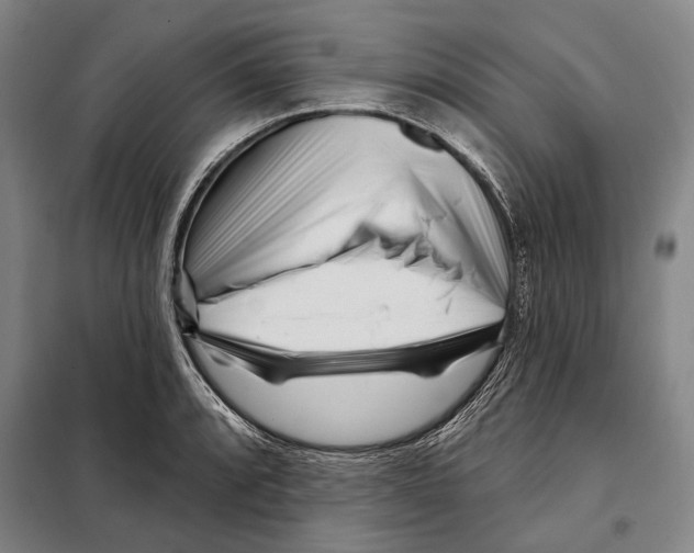X0000097971088200804211005