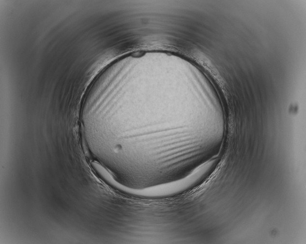 X0000097971089200804211005