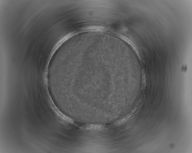 X0000097971090200804211005