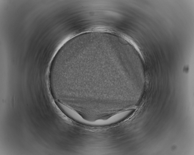 X0000097971091200804211005