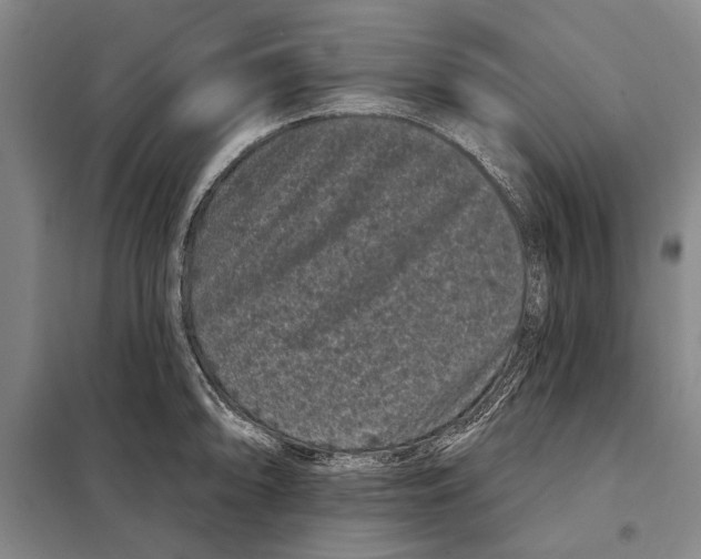 X0000097971094200804211005
