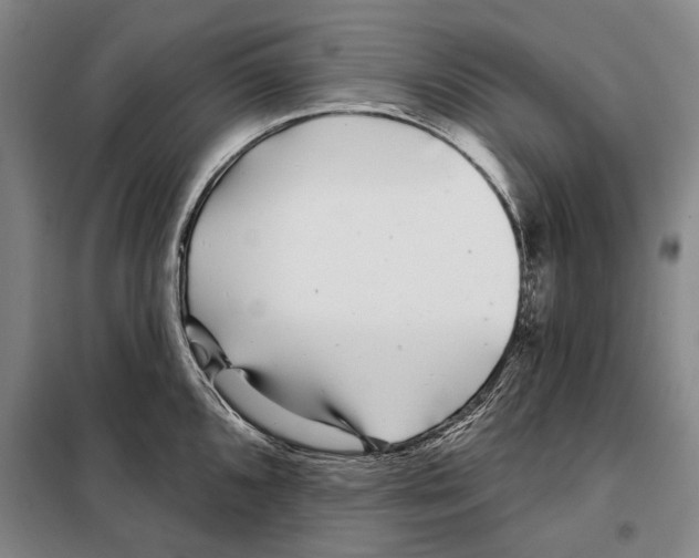 X0000097971096200804211005