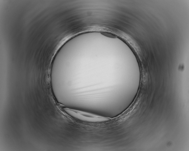 X0000097971097200804211005