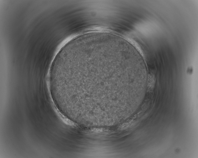 X0000097971098200804211005