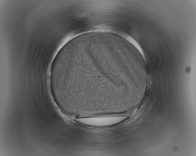 X0000097971099200804211005