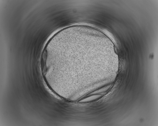 X0000097971100200804211005