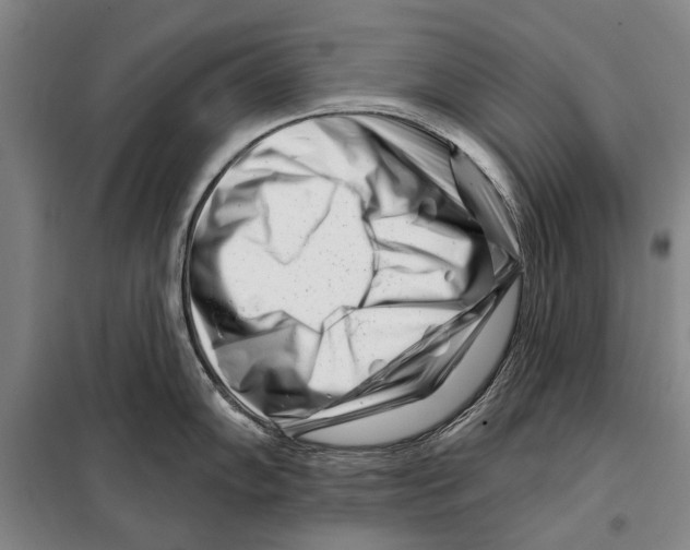 X0000097971102200804211005
