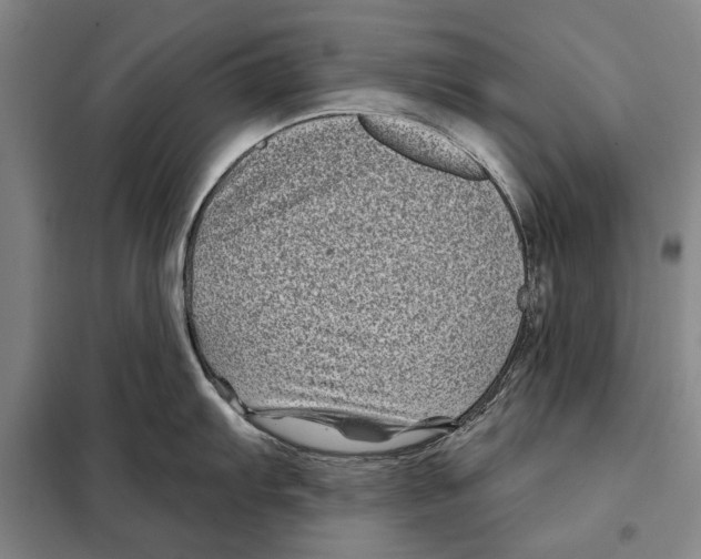 X0000097971103200804211005