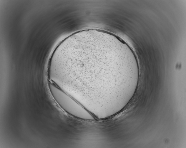 X0000097971104200804211005