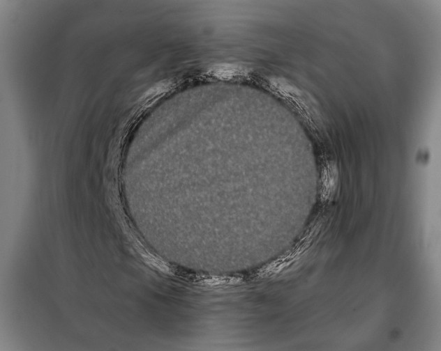 X0000097971105200804211004
