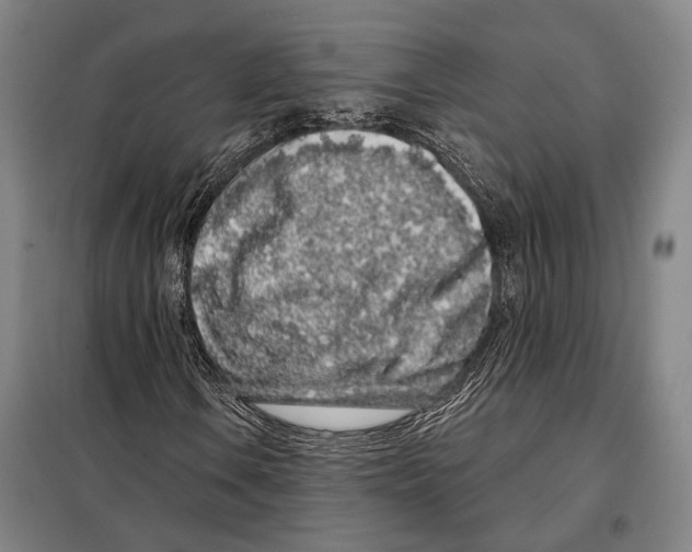 X0000097971106200804211004