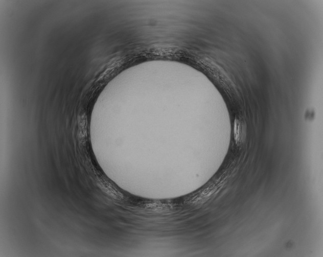 X0000097971107200804211004