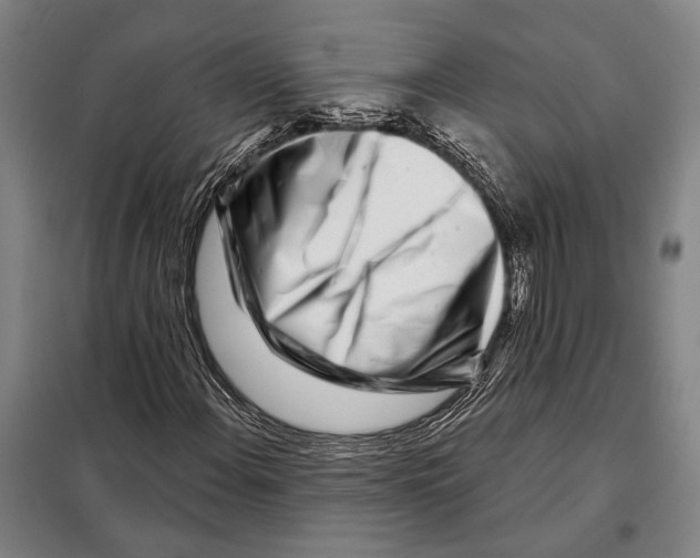 X0000097971108200804211004