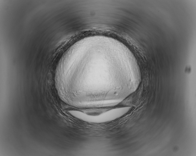 X0000097971110200804211004