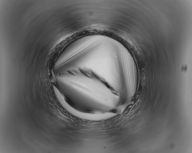 X0000097971112200804211004