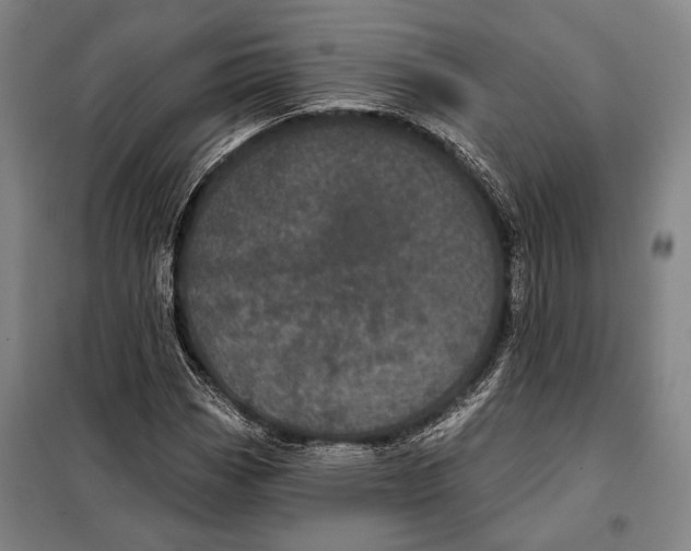 X0000097971113200804211004