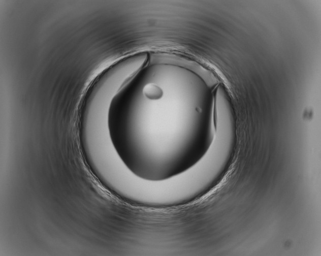 X0000097971114200804211004