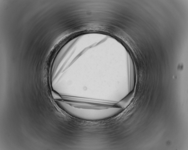 X0000097971115200804211004