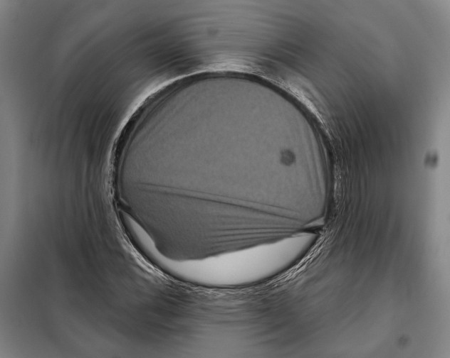 X0000097971116200804211004