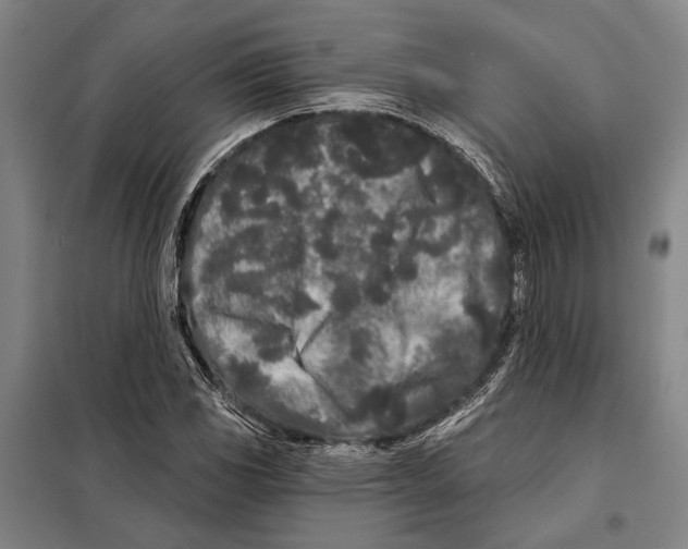 X0000097971117200804211004