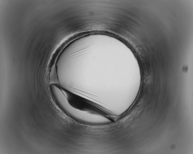 X0000097971118200804211004