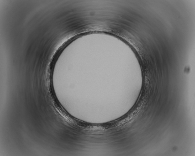 X0000097971119200804211004