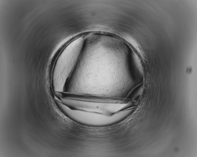 X0000097971120200804211004