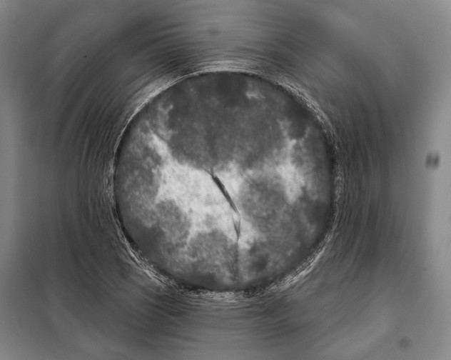 X0000097971121200804211004