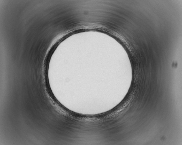 X0000097971122200804211004