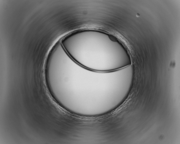 X0000097971124200804211004