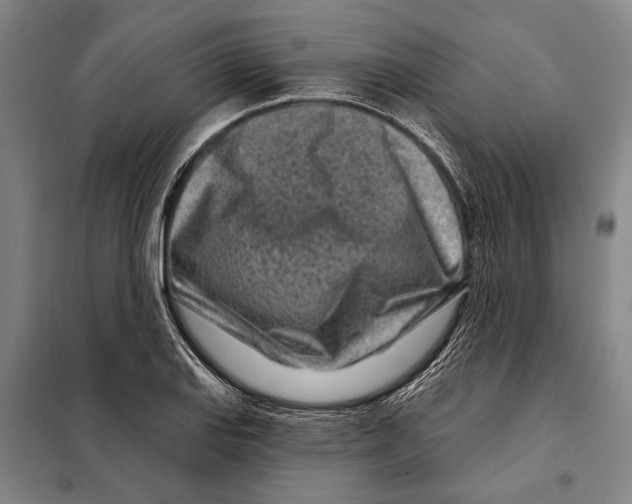 X0000097971127200804211004