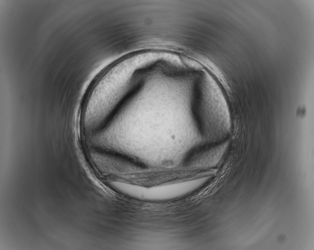 X0000097971128200804211005