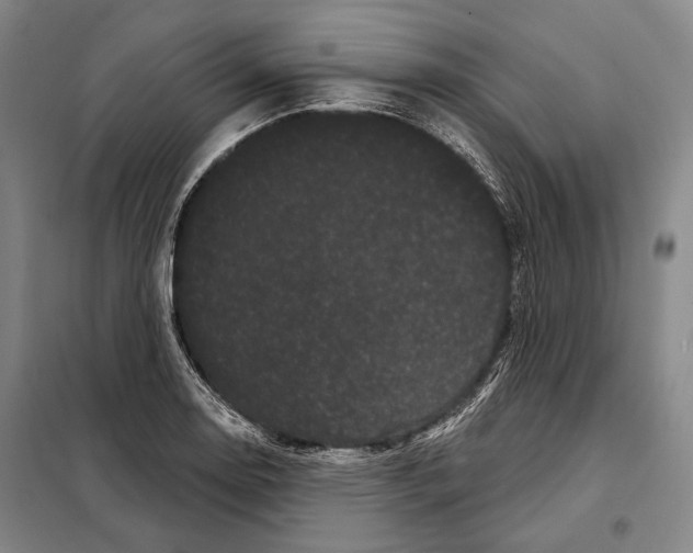 X0000097971130200804211005