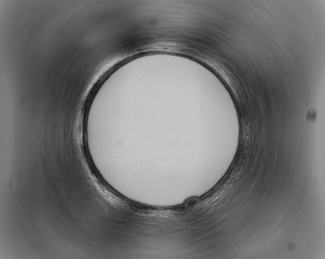 X0000097971131200804211005