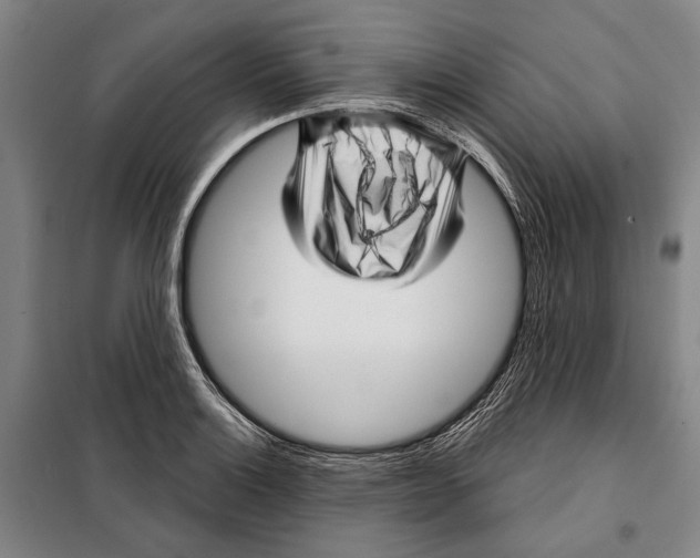 X0000097971132200804211005