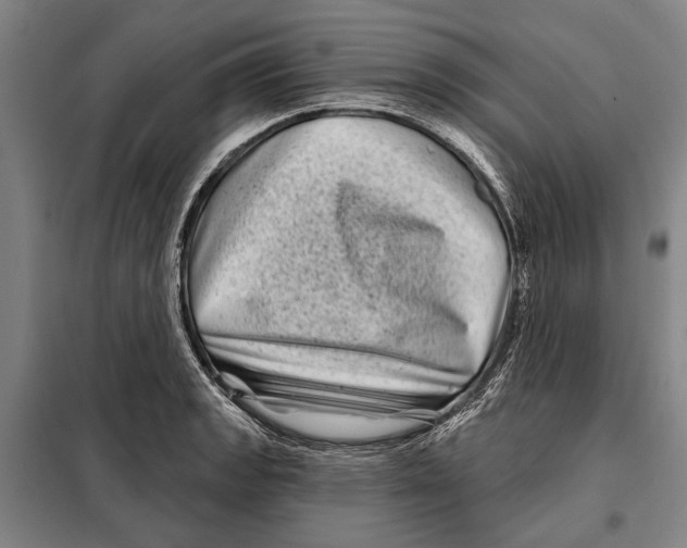 X0000097971133200804211005