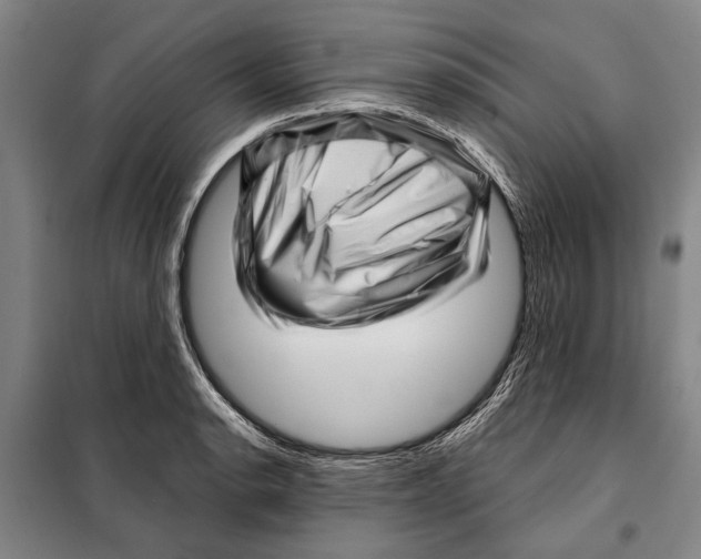 X0000097971134200804211005