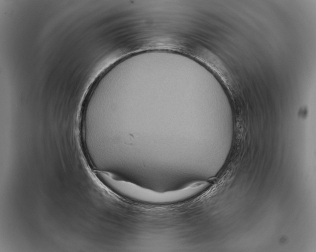X0000097971135200804211005