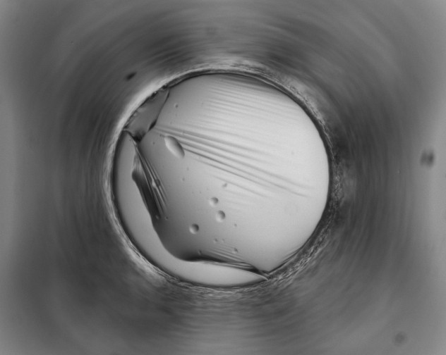 X0000097971136200804211005