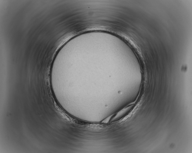 X0000097971137200804211005