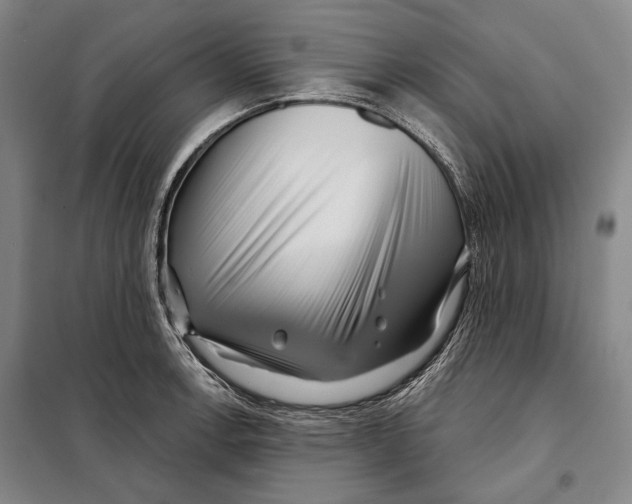 X0000097971138200804211005